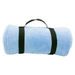 Custom Micro Plush Blanket - 1