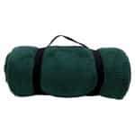 Custom Micro Plush Blanket - 6